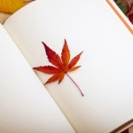 POSZERZAJ HORYZONTY #2